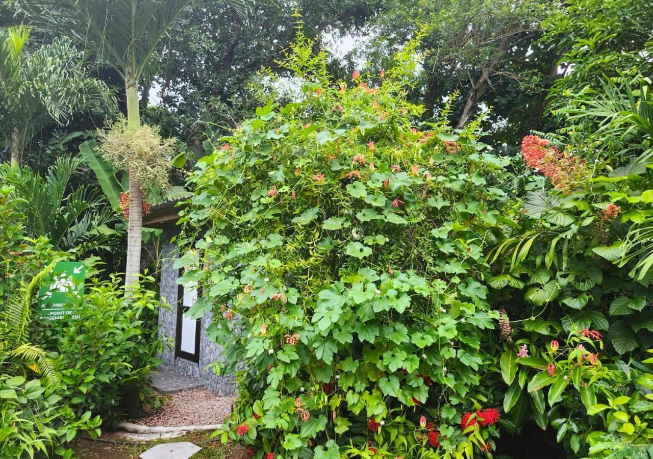 Buisson Guesthouse La Digue Eksteriør billede