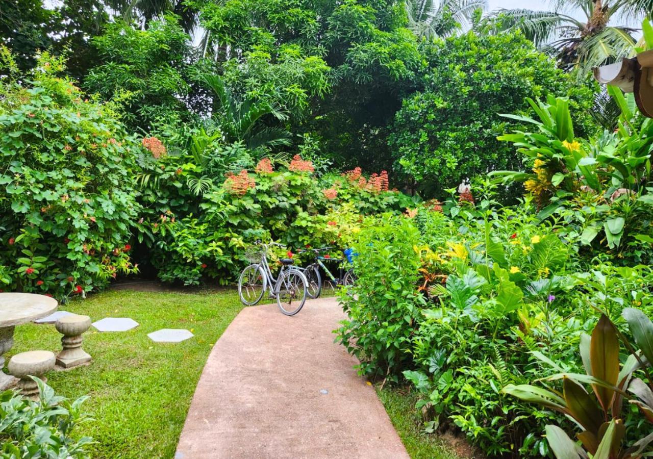 Buisson Guesthouse La Digue Eksteriør billede
